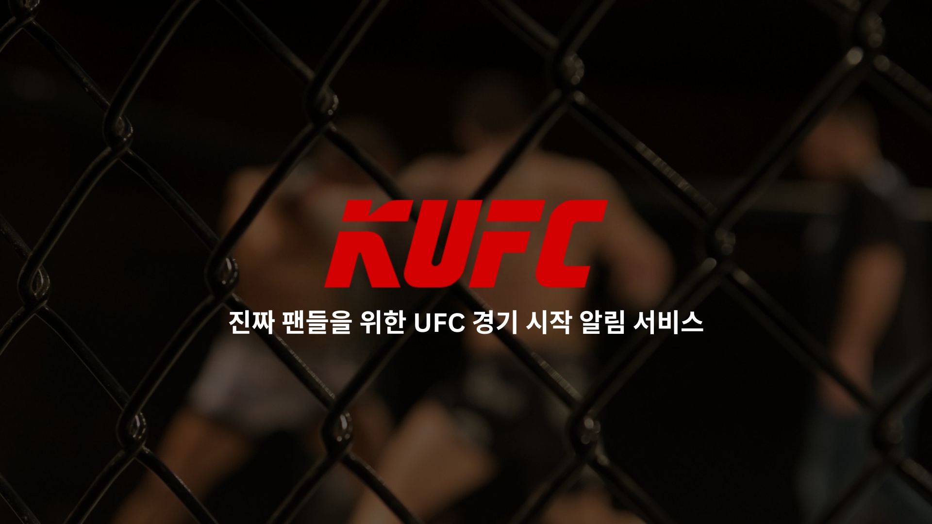 UFC 배너